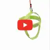 Bejoyland Neck Stretcher & Trainer for Workout and Alignment